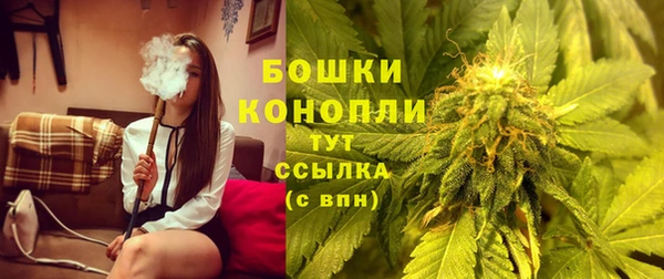 дмт Лагань