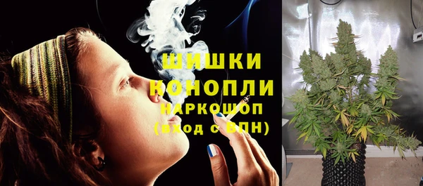 дмт Лагань